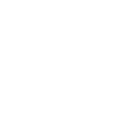 Icône chat
